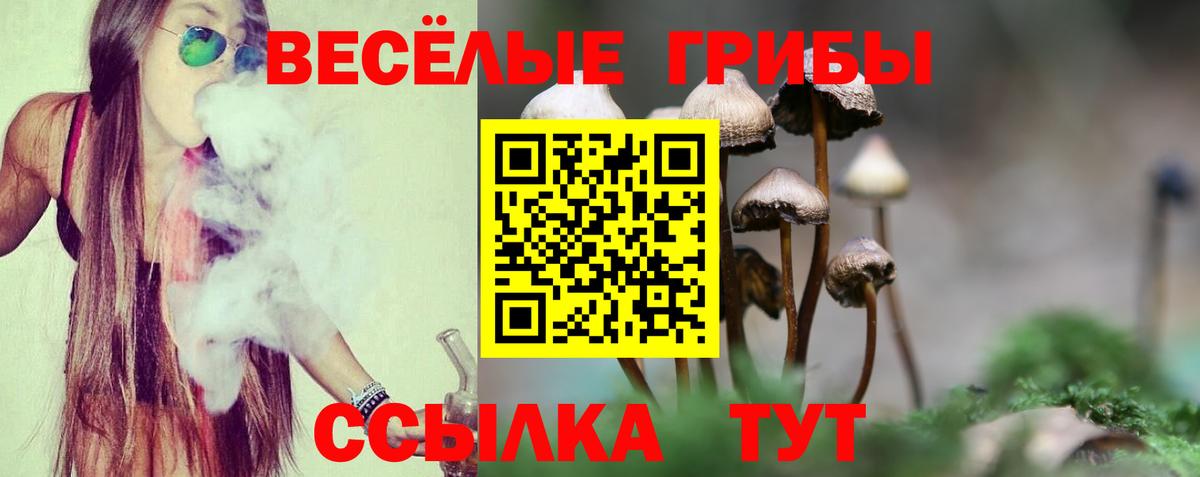 Псилоцибиновые грибы мицелий  Вход с VPN  Нижний Тагил 